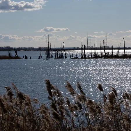 Feriehus Haus An Der Peene *