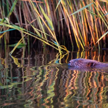 Haus An Der Peene Neukalen