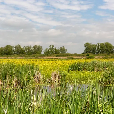 Feriehus Haus An Der Peene *