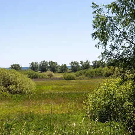 Haus An Der Peene Feriehus