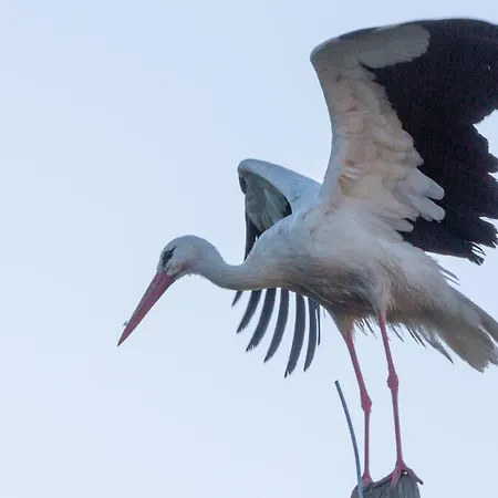 Feriehus Haus An Der Peene