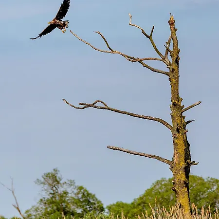 Feriehus Haus An Der Peene