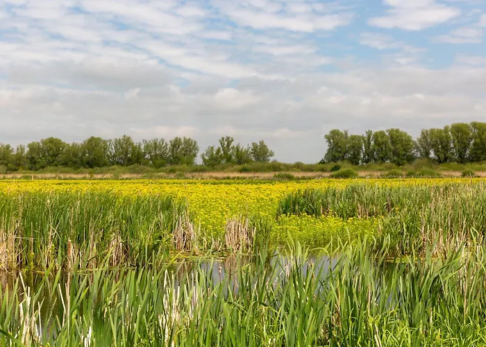 Ferienhaus Haus An Der Peene *