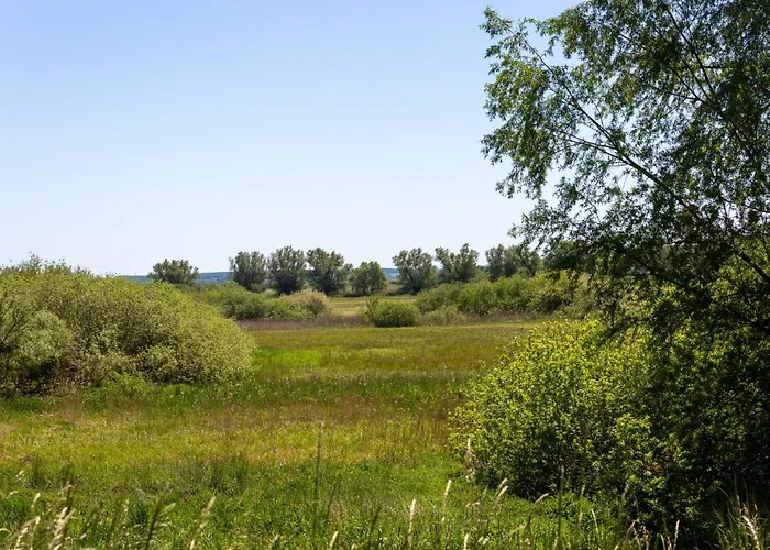 Haus An Der Peene Ferienhaus