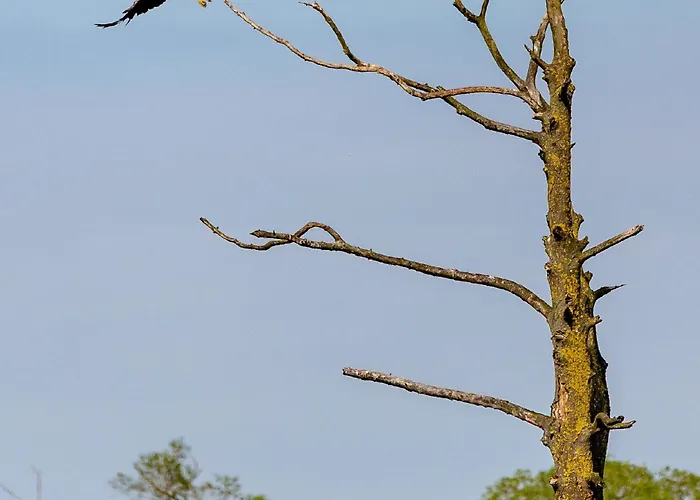 Ferienhaus Haus An Der Peene